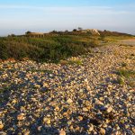 Preserving Little Compton Beach