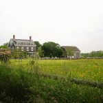 Pasture