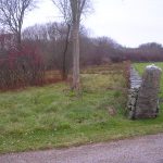 SPA Fee Property Taylor & Lisle 2