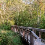 dundery brook