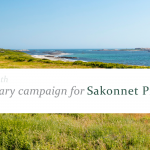 WP Campaign Feature Image