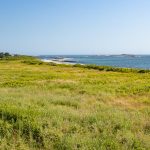 Chandor Property Image