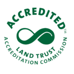 lta-accredited-logo-transparent