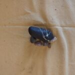 IMG20240413140529