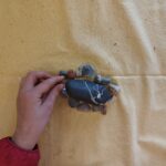 IMG20240413140545